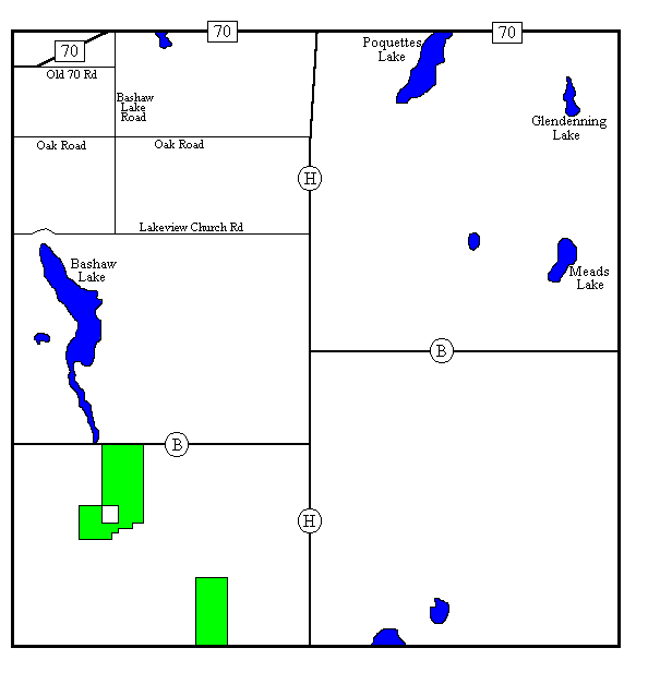 Dewey Township
