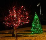 Two decorated trees