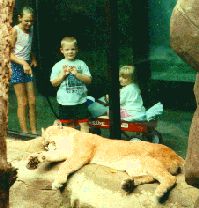 Zoo picture